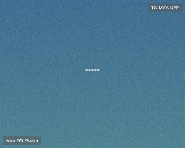 自由搏击知名赛事名单